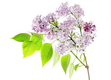 30周年纪念作《重装机兵：狂野西部》宣布停止开发